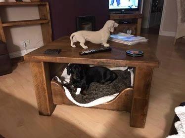Mensa Pet Coffee Table. (Cushion not included)